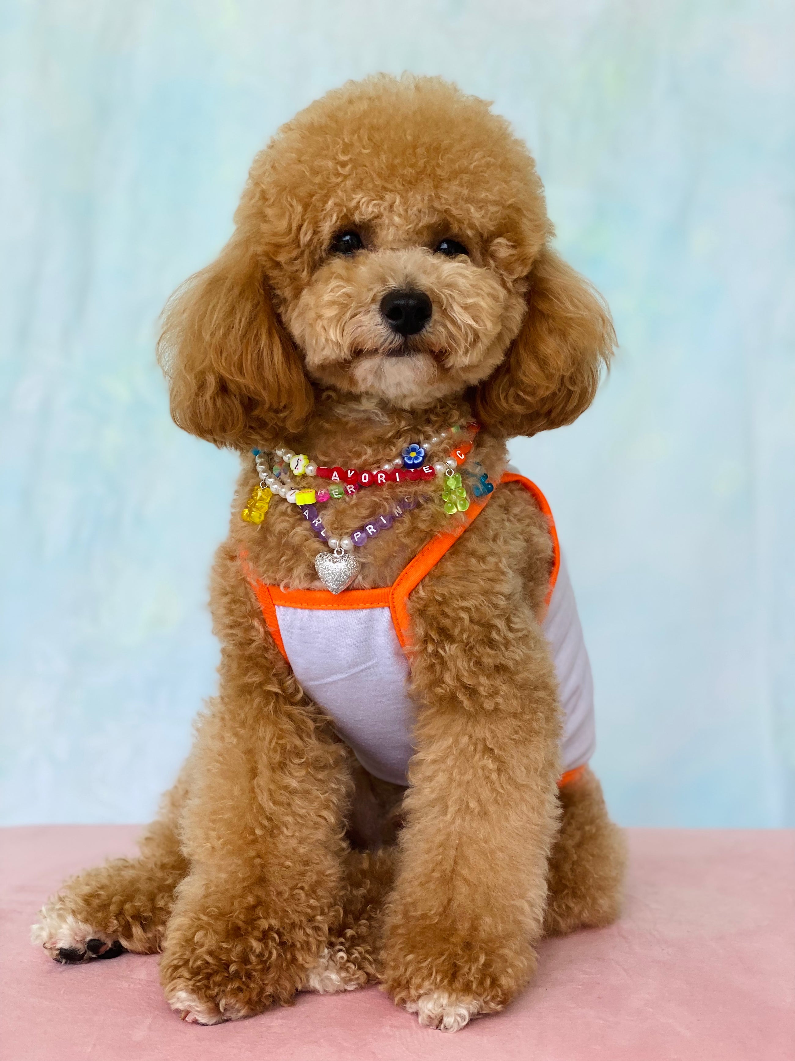 かわいいペットネックレス