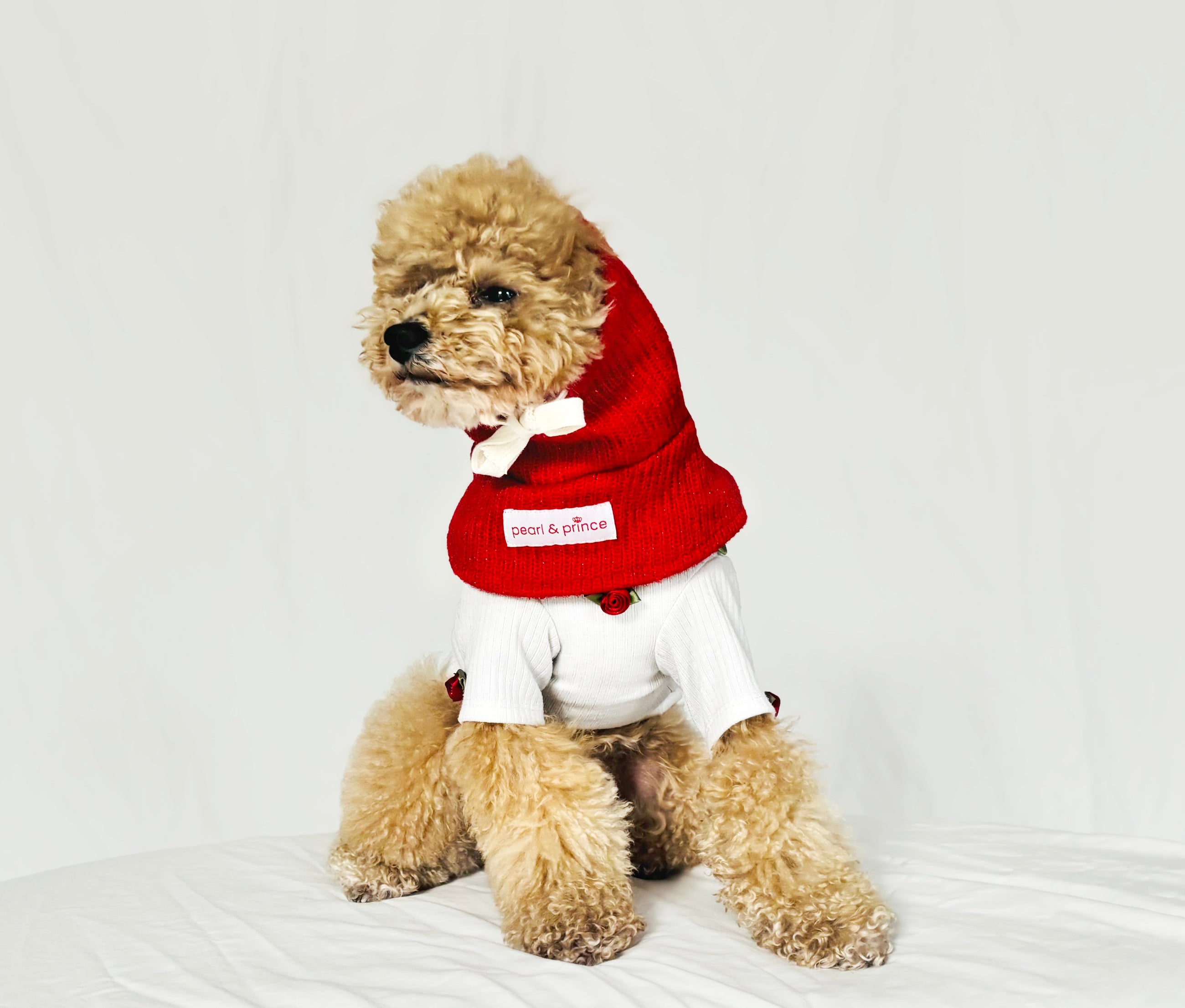 Red Riding Hood Pet Balaclava