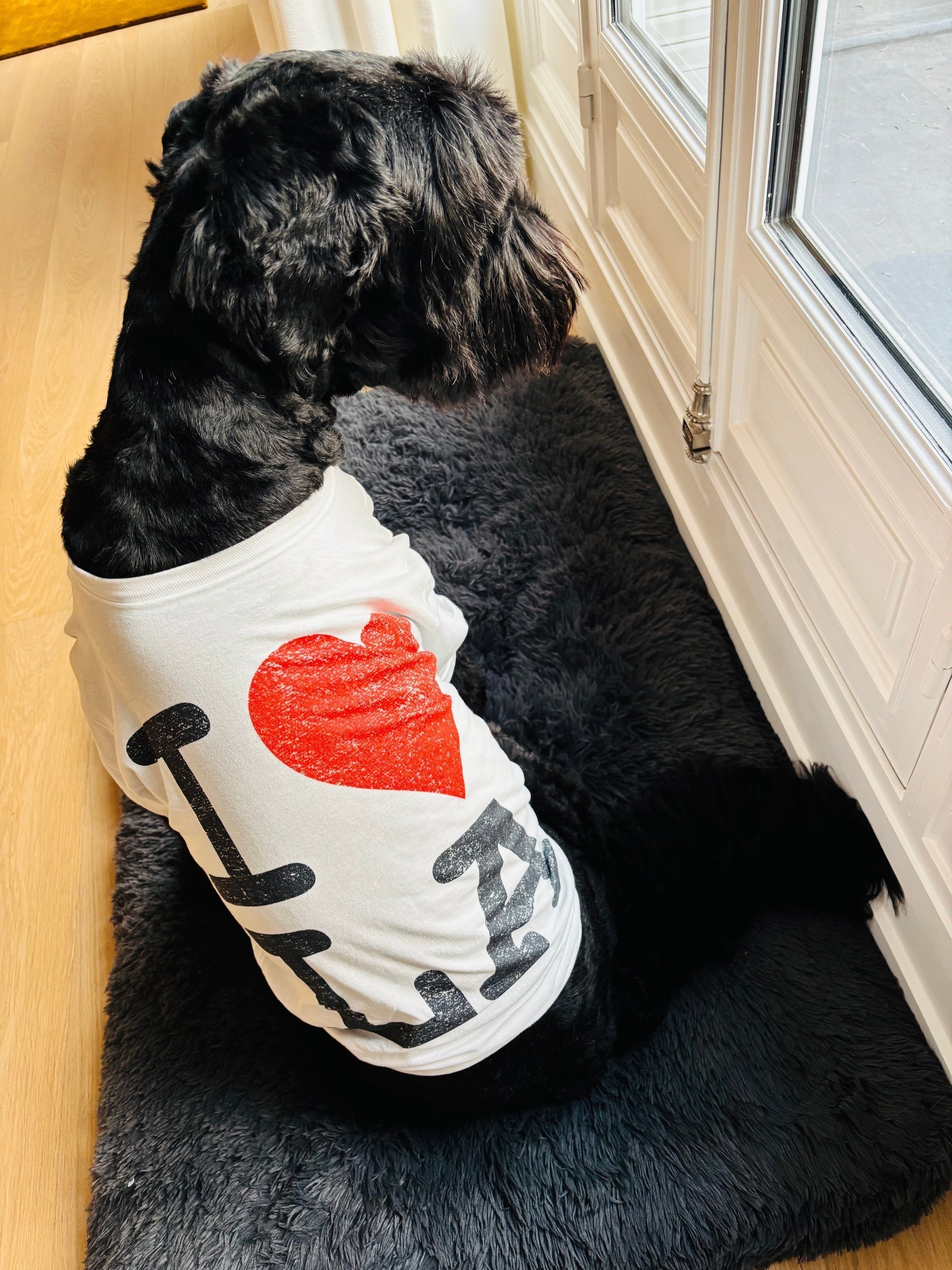 LOS ANGELES FIRES: How to help