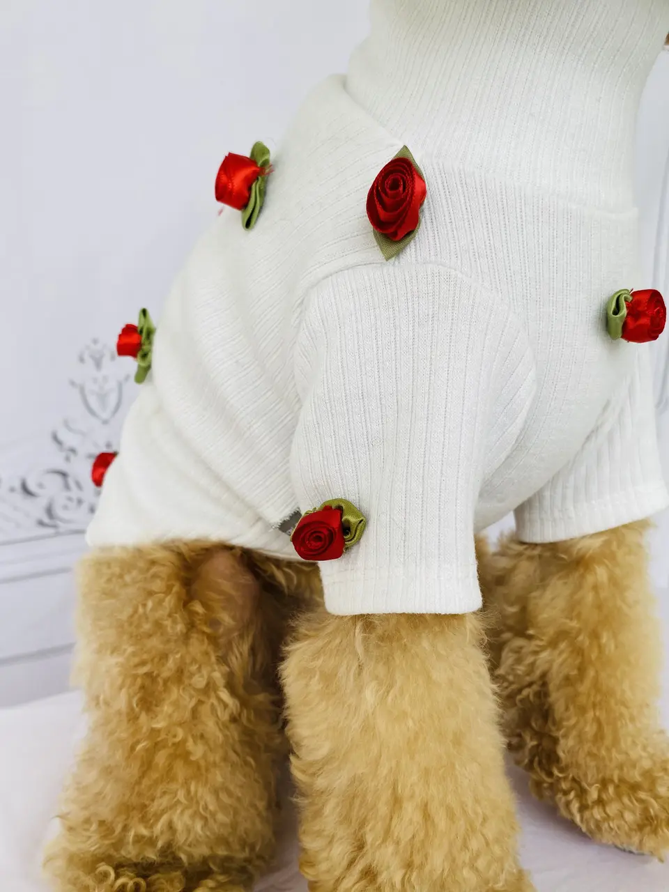 From Function to Fashion: The Evolution of Designer Dog Sweaters