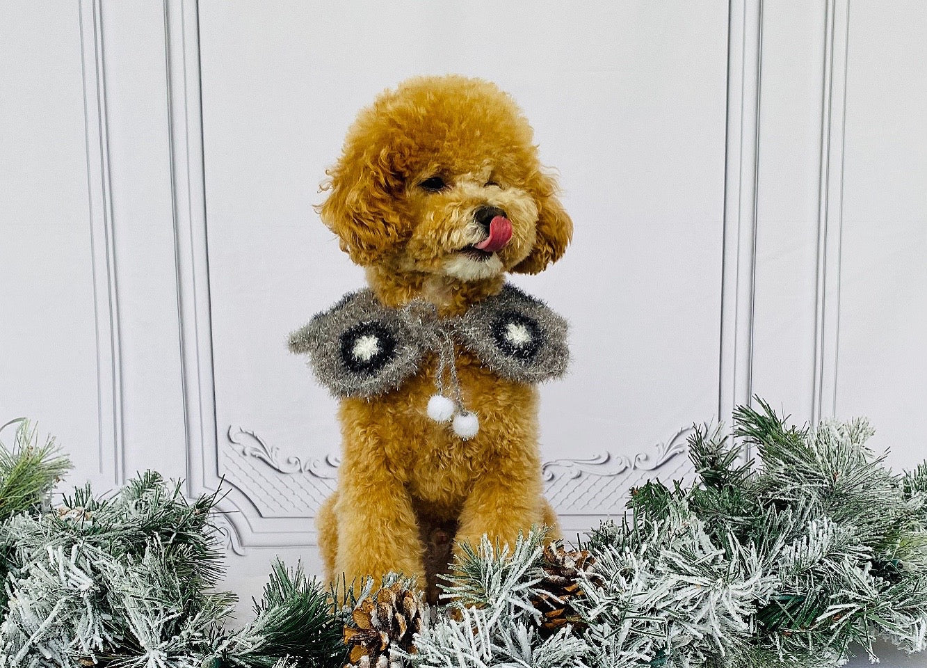 Holiday Gift Guide 2025