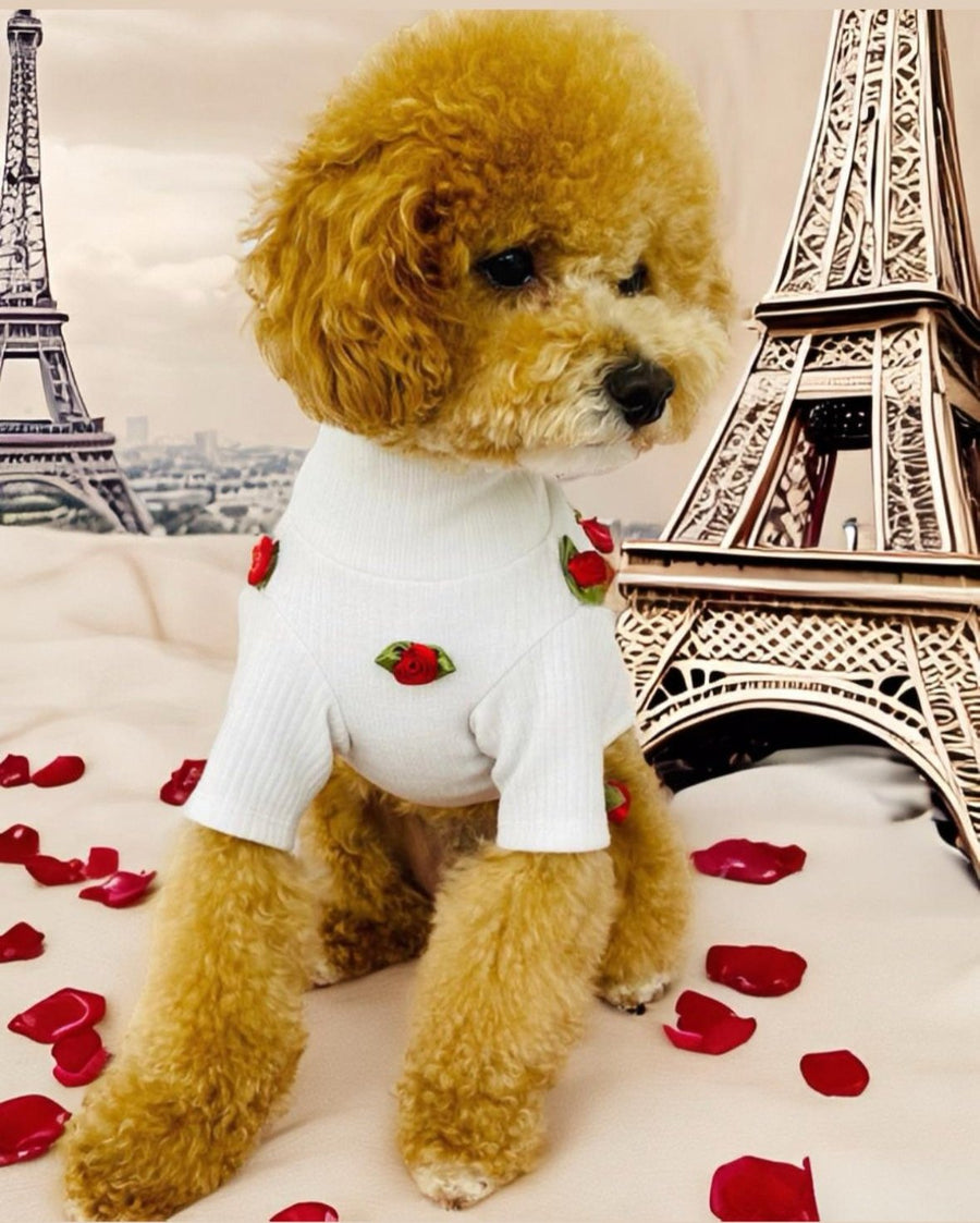 Valentine’s Day Gift Guide