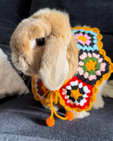 グラニーケープ