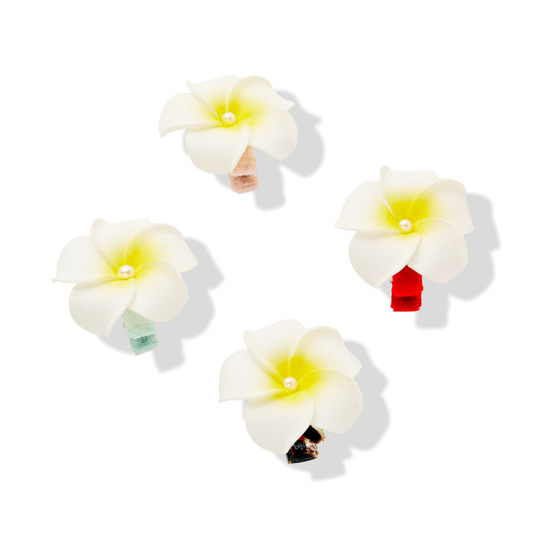 Pinces à crinière Aloha