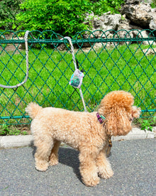 Pearl & Prince X Brigitte Tanaka Pet Pouch