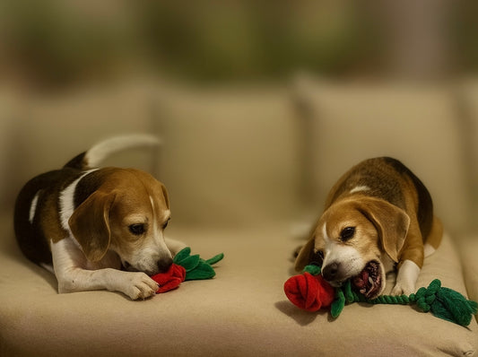ROSEBUD ROPE TOY