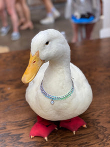 Birthstone Tennis Necklace