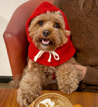 Red Riding Hood Pet Balaclava