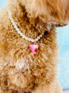 バースデーケーキペ​​ットネックレス