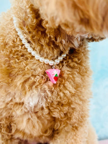 バースデーケーキペ​​ットネックレス