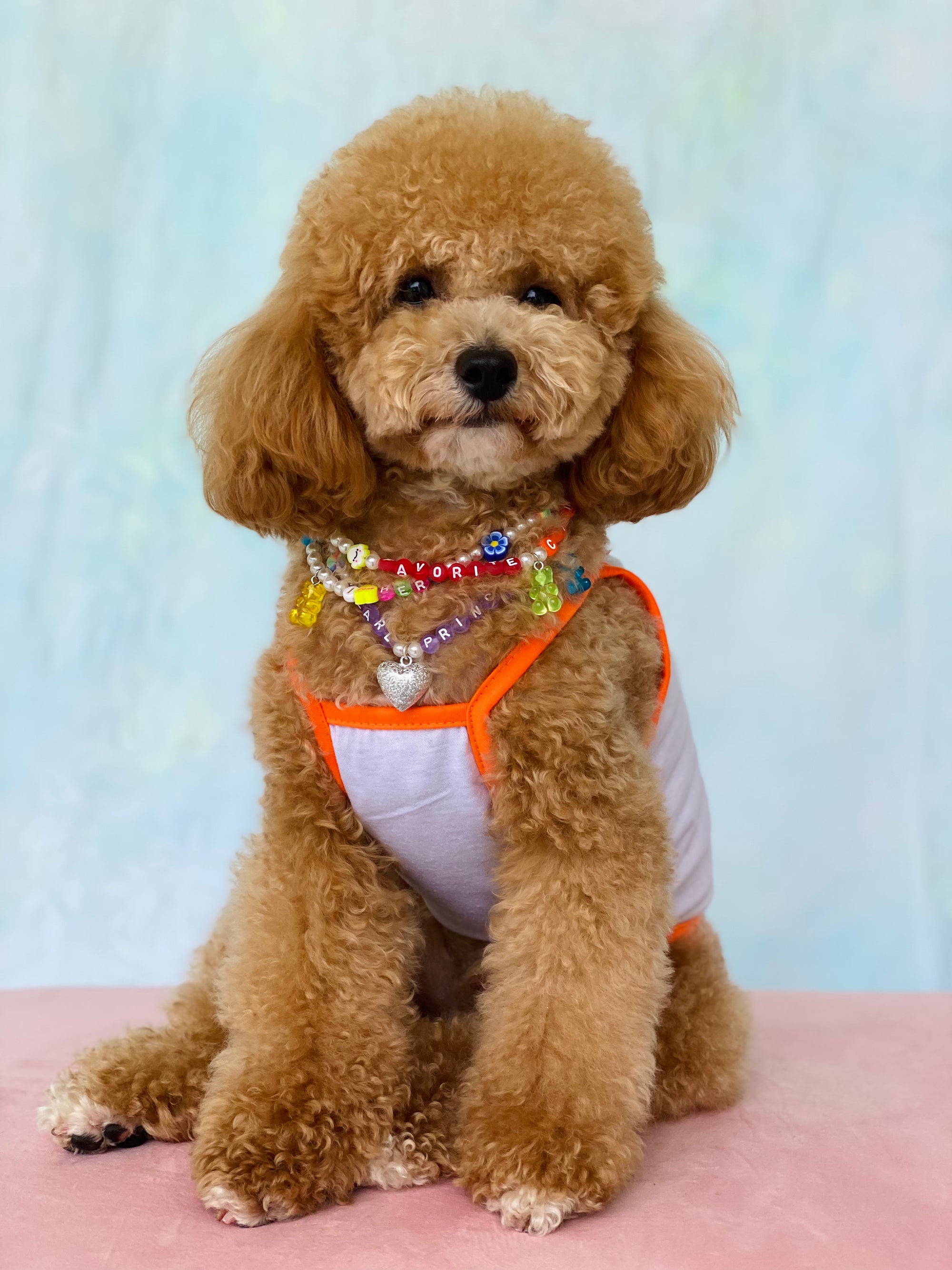 かわいいペットネックレス