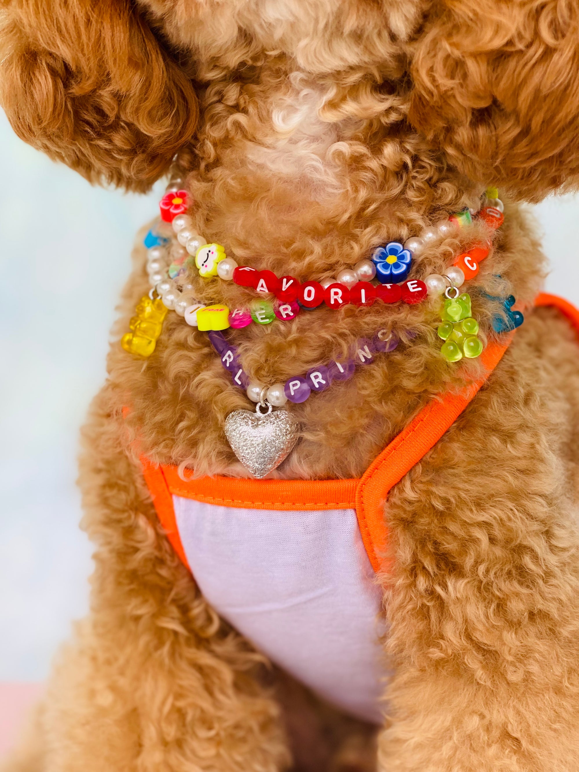 かわいいペットネックレス