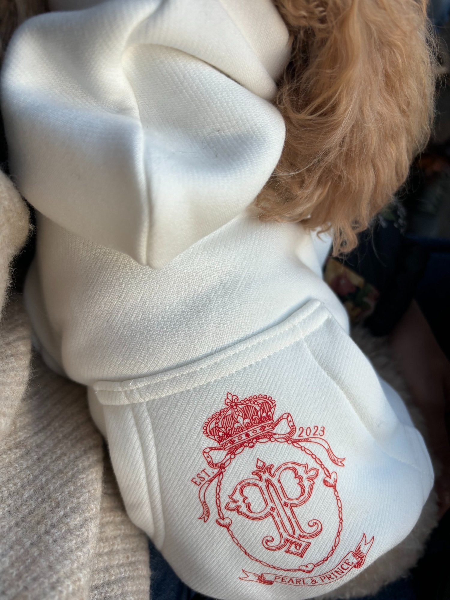 High School Merch Pet Hoodie