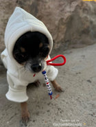 High School Merch Pet Hoodie