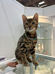 Birthstone Tennis Necklace