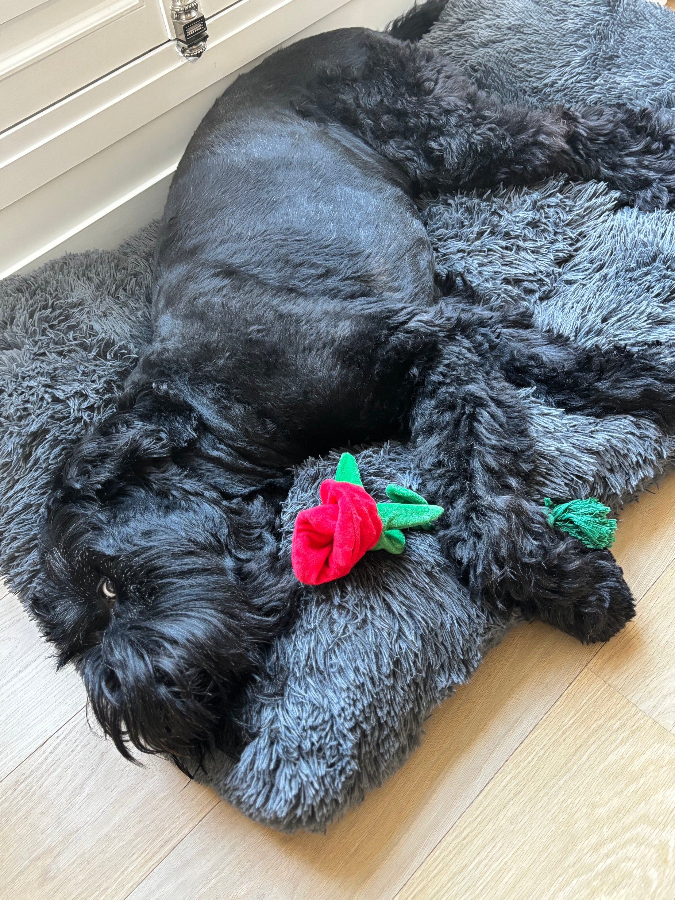 ROSEBUD ROPE TOY