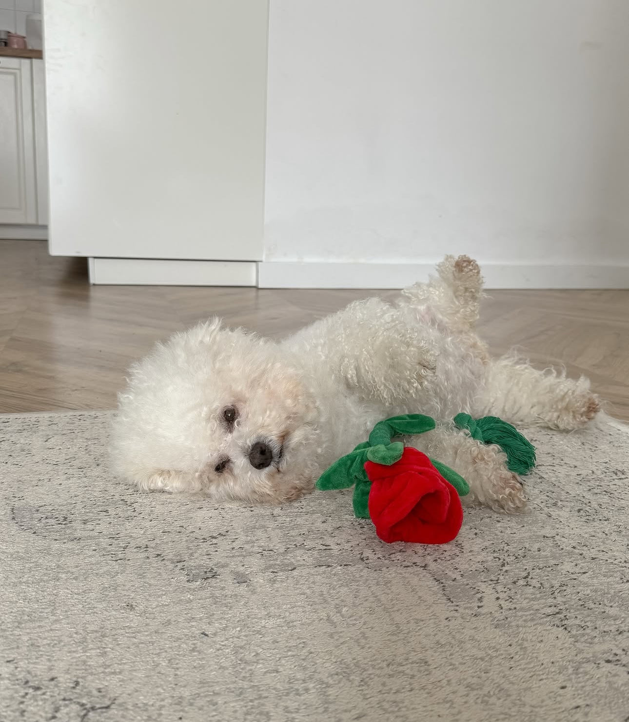 ROSEBUD ROPE TOY