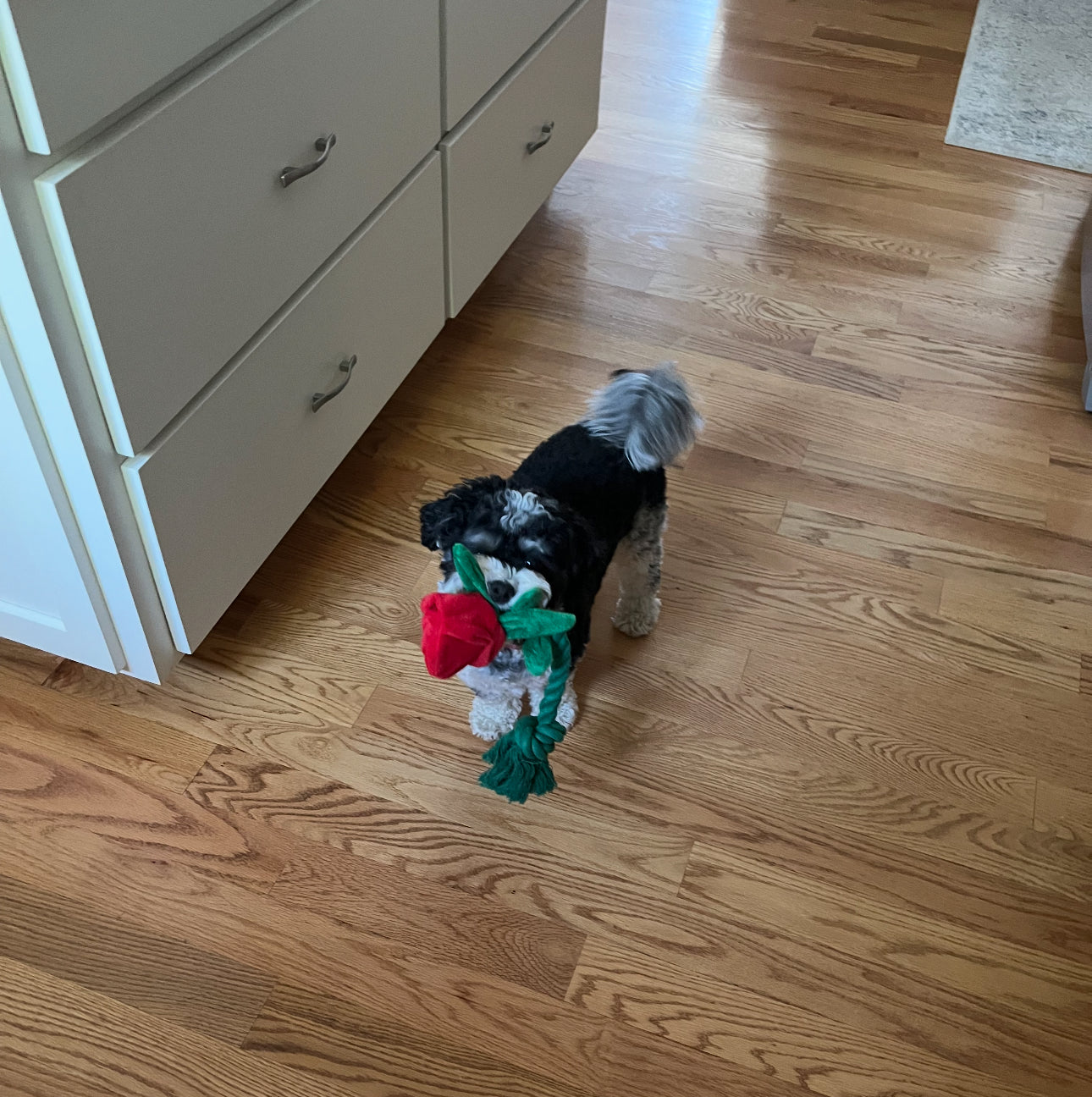 ROSEBUD ROPE TOY