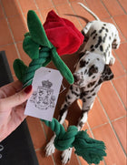 Rosebud Rope Toy