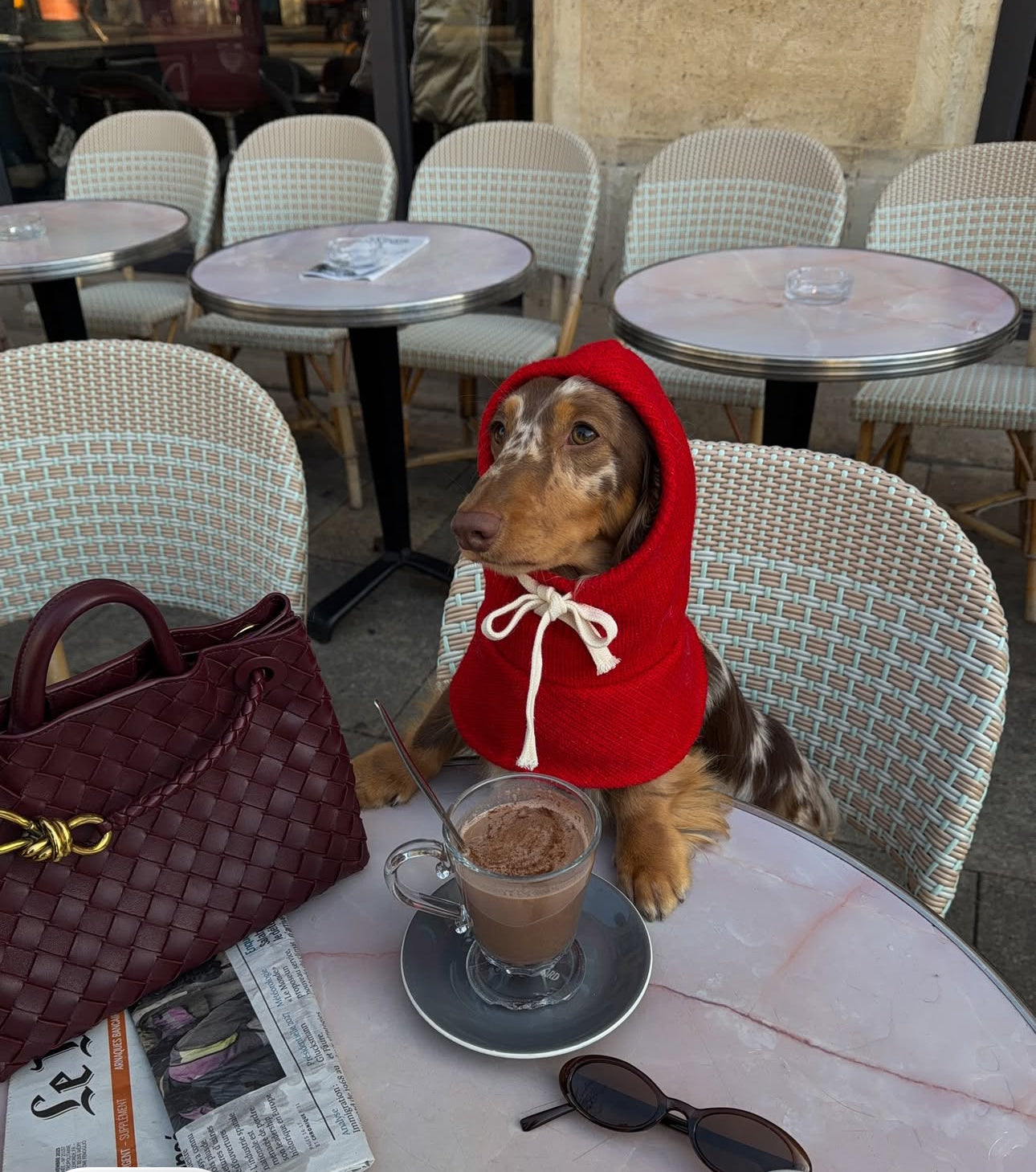 Red Riding Hood Pet Balaclava