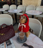 Red Riding Hood Pet Balaclava