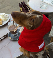 Red Riding Hood Pet Balaclava