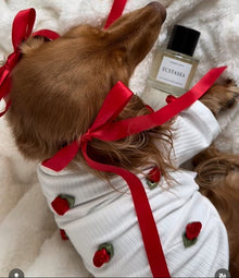 Rosebud Pet Sweater