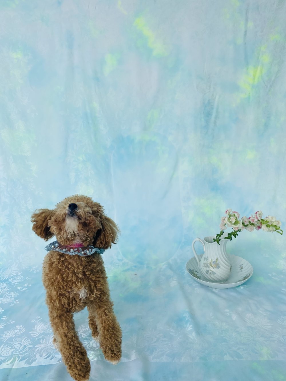 Col en dentelle à volants 