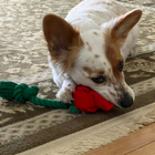 Rosebud Rope Toy