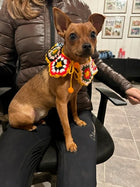 グラニーケープ