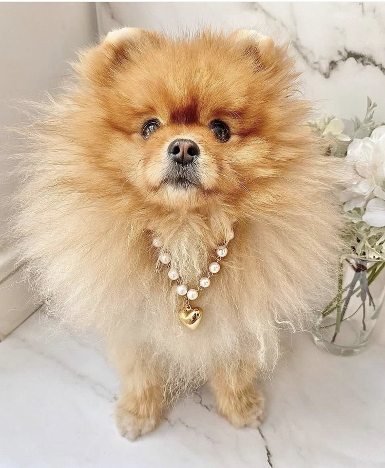 クールパールネックレス