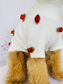 Rosebud Pet Sweater