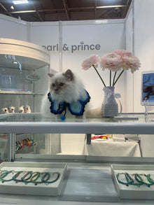 グラニーケープ