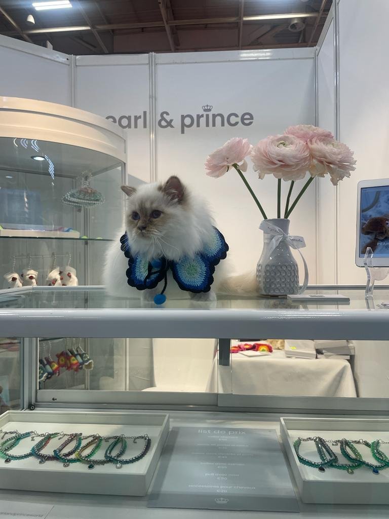 グラニーケープ