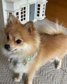 Col en dentelle à volants 