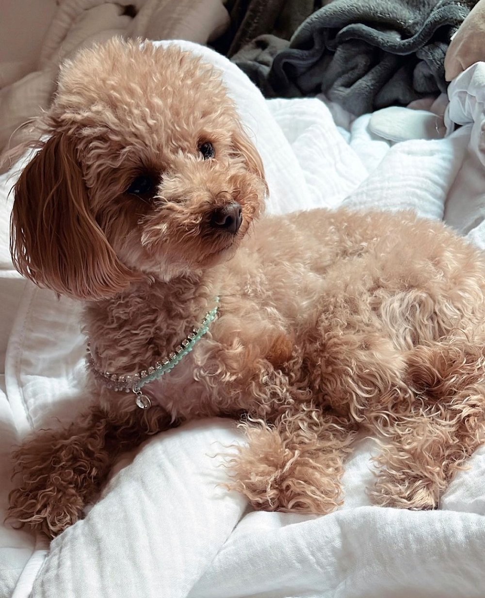 Birthstone Tennis Necklace