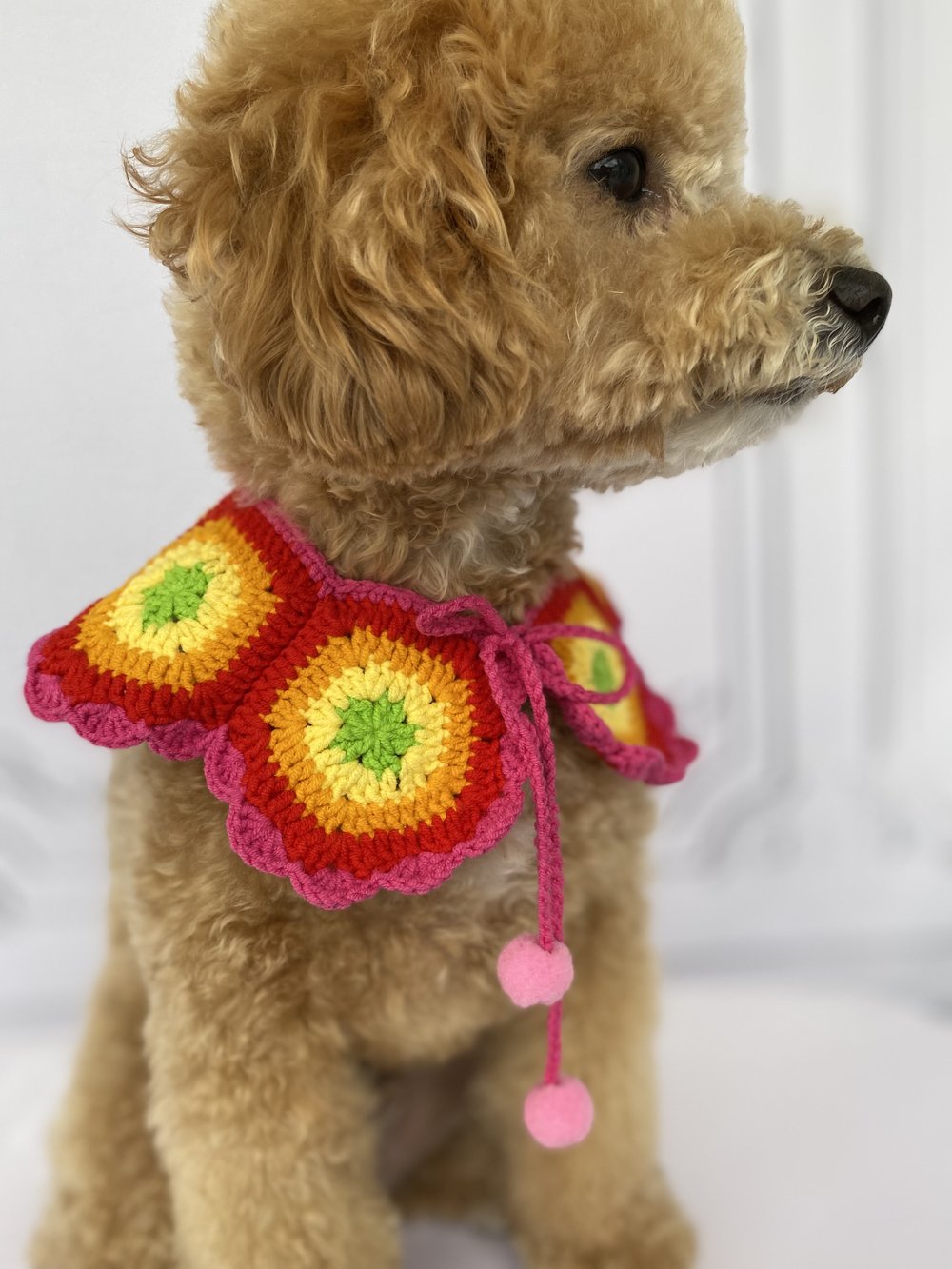 グラニーケープ