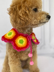 グラニーケープ