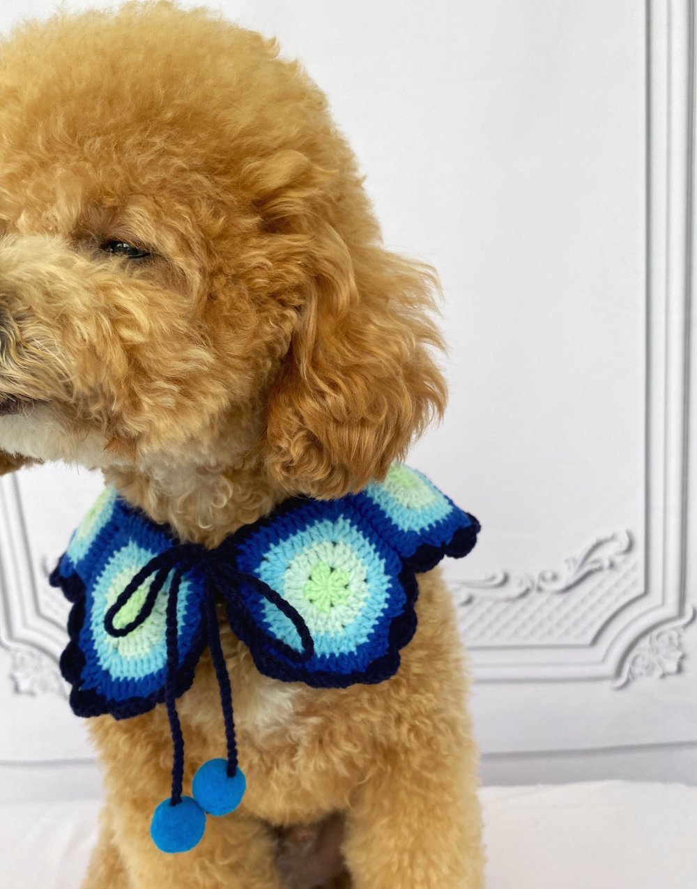 グラニーケープ