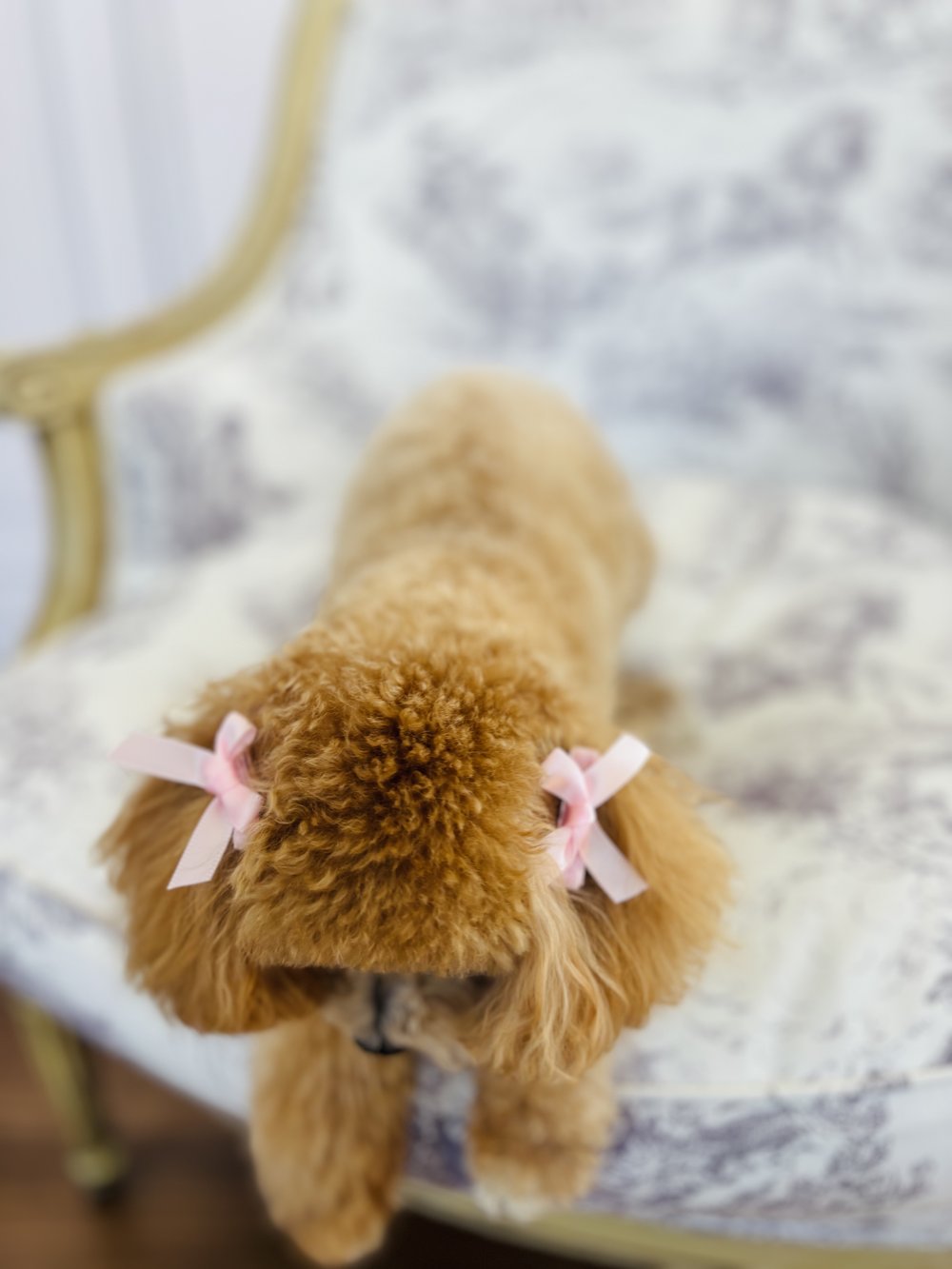 Pinces à crinière avec nœud rose