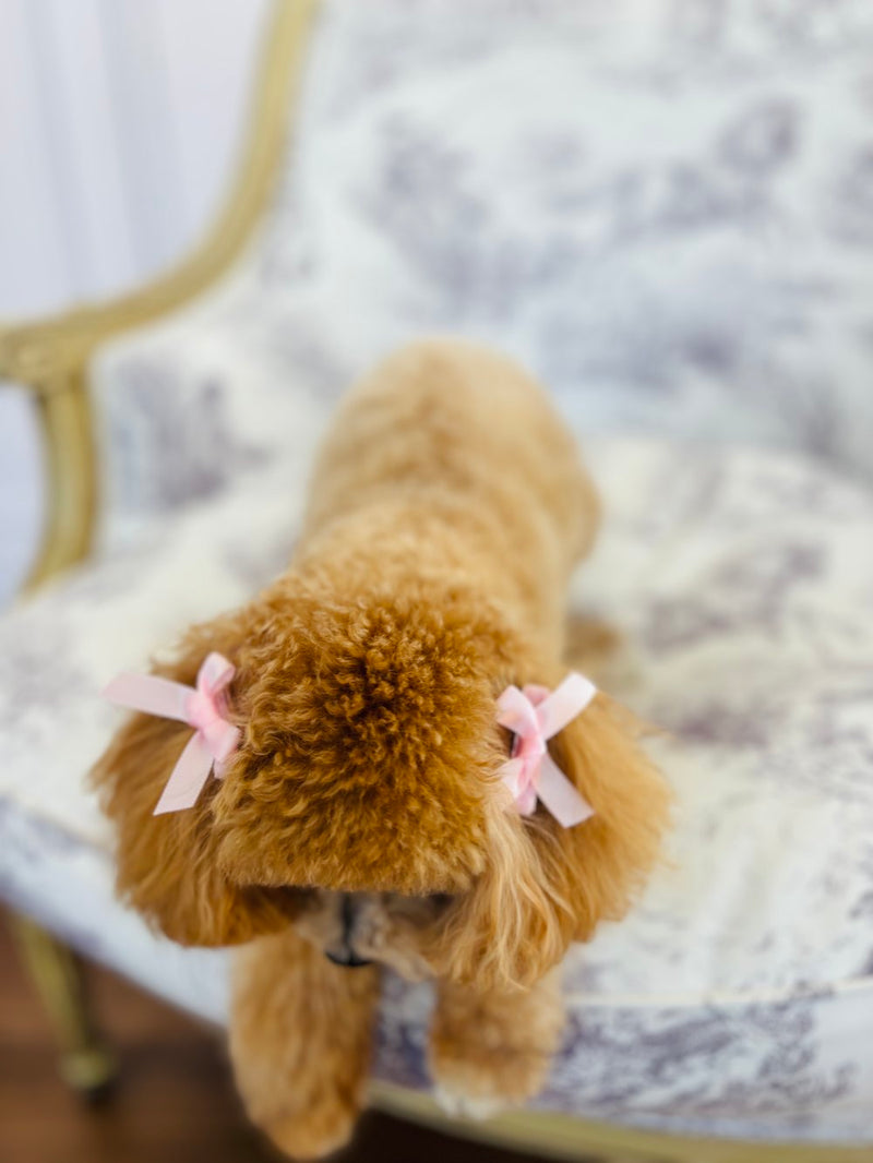 Pinces à crinière avec nœud rose