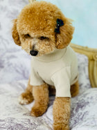 Tontes de crinière pour l'école primaire