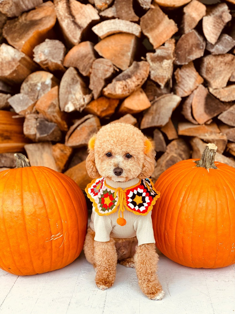 グラニーケープ