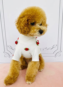 Rosebud Pet Sweater
